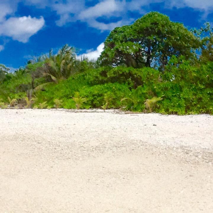 Fare Maeva Moorea Hotel Teavaro Szoba fotó